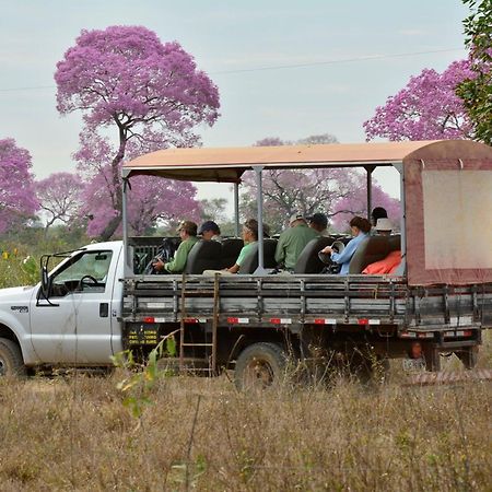 Southwild Pantanal Lodge Pixaim ภายนอก รูปภาพ