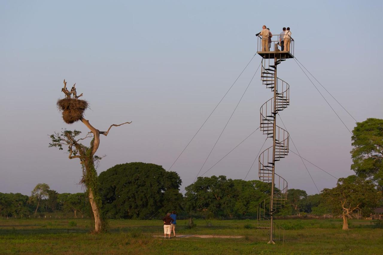 Southwild Pantanal Lodge Pixaim ภายนอก รูปภาพ