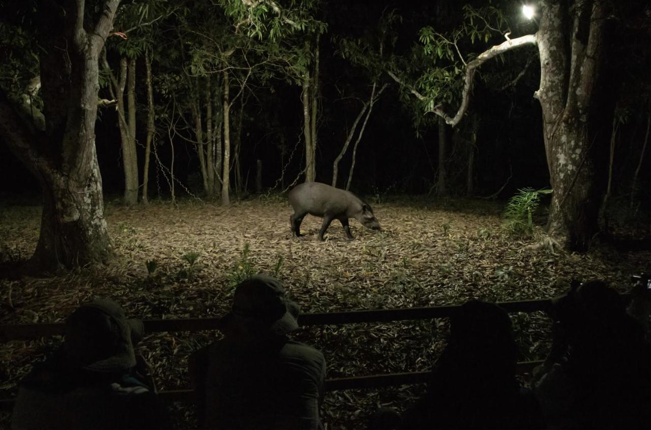 Southwild Pantanal Lodge Pixaim ภายนอก รูปภาพ
