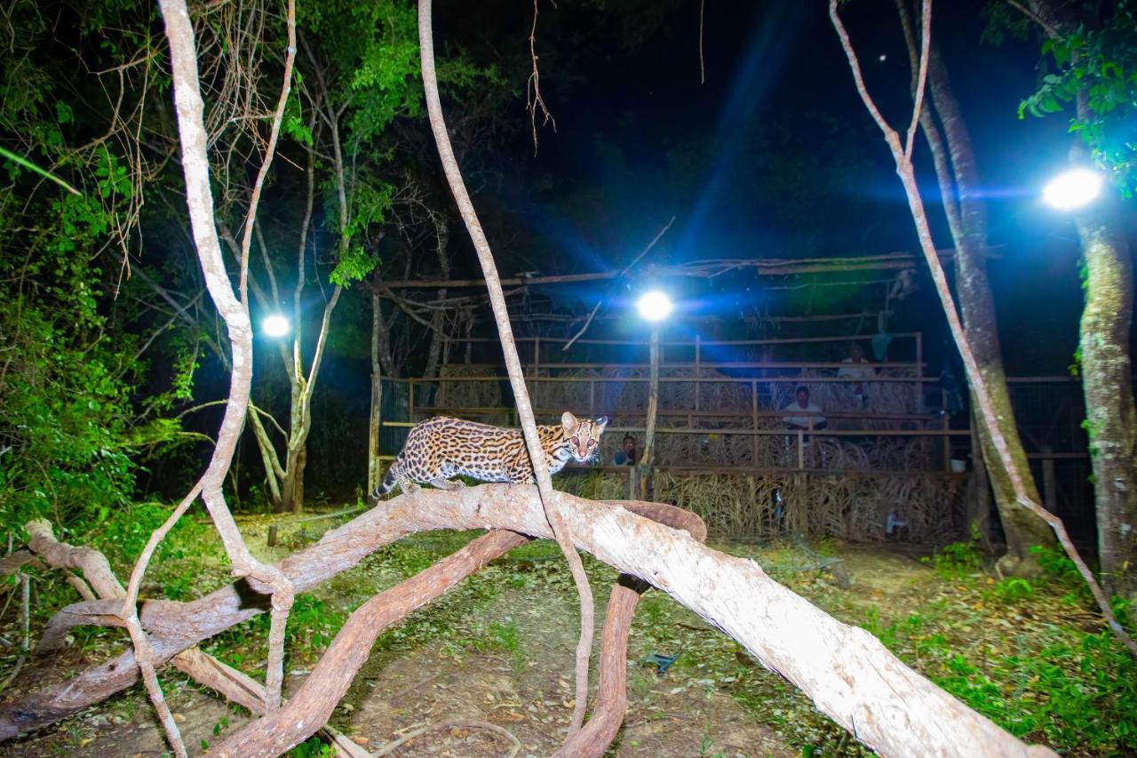Southwild Pantanal Lodge Pixaim ภายนอก รูปภาพ