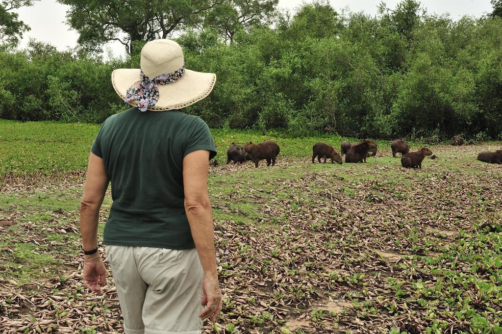 Southwild Pantanal Lodge Pixaim ภายนอก รูปภาพ
