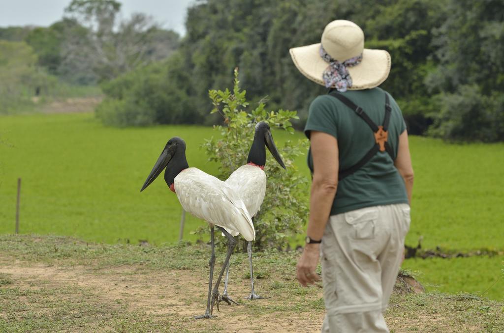 Southwild Pantanal Lodge Pixaim ภายนอก รูปภาพ