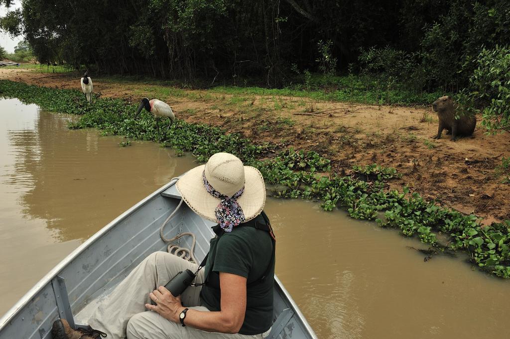 Southwild Pantanal Lodge Pixaim ภายนอก รูปภาพ