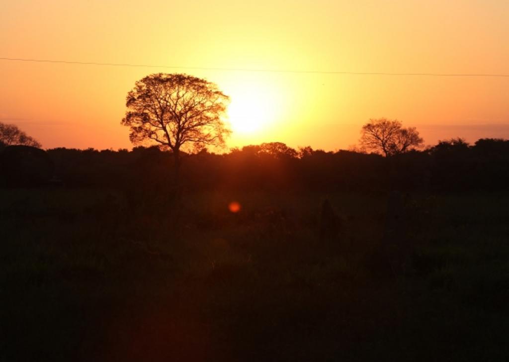 Southwild Pantanal Lodge Pixaim ภายนอก รูปภาพ
