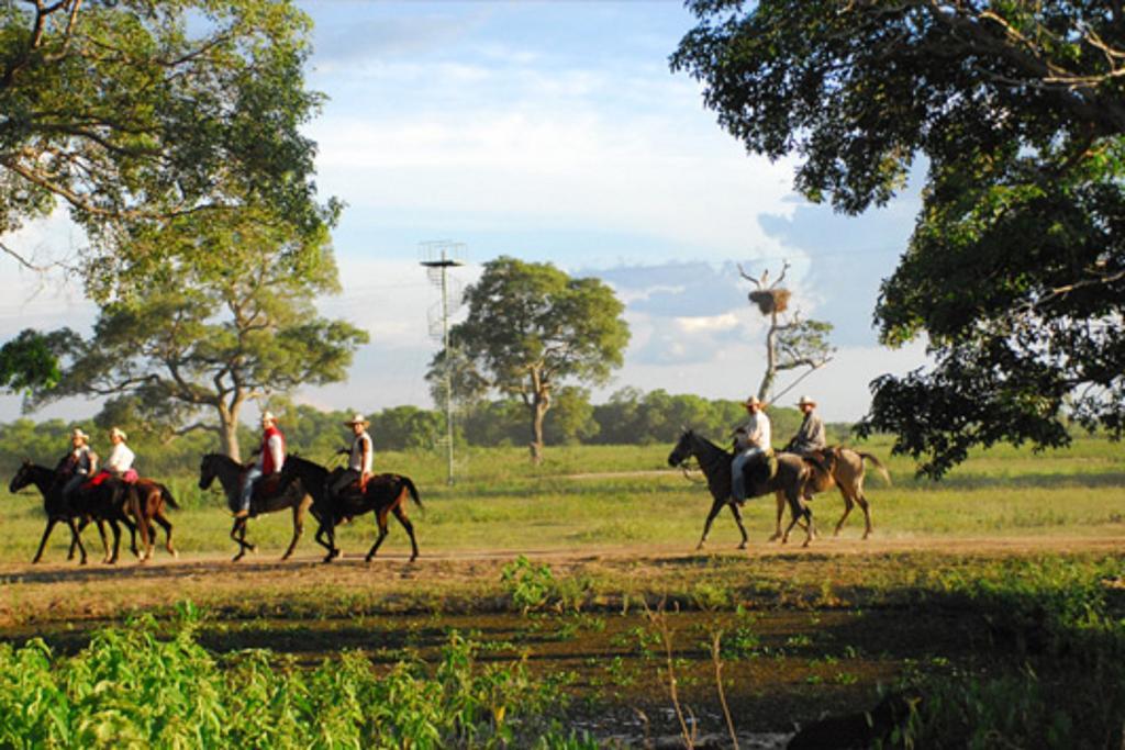 Southwild Pantanal Lodge Pixaim ภายนอก รูปภาพ
