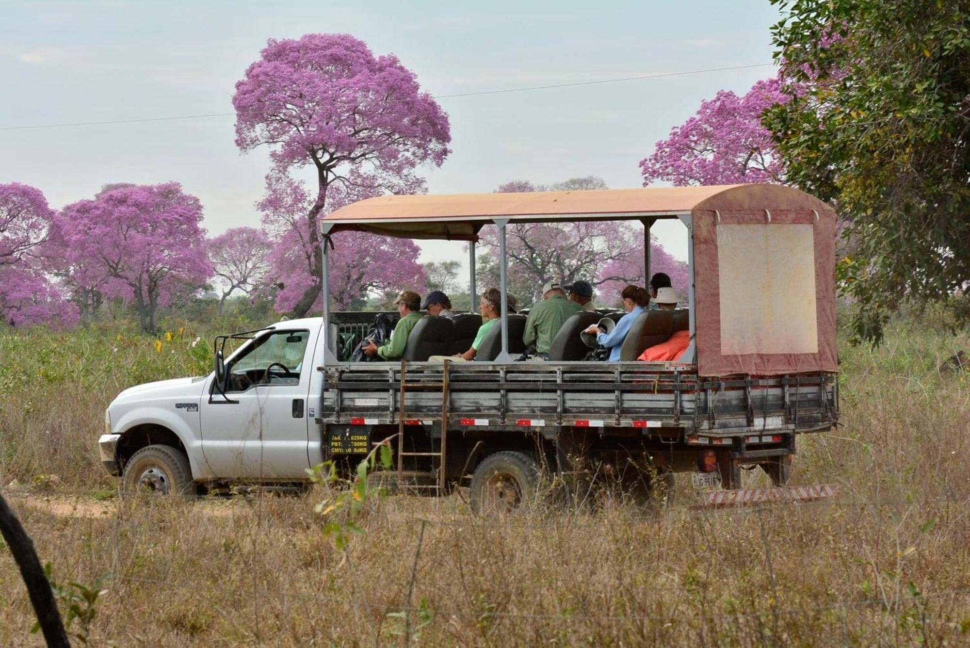 Southwild Pantanal Lodge Pixaim ภายนอก รูปภาพ