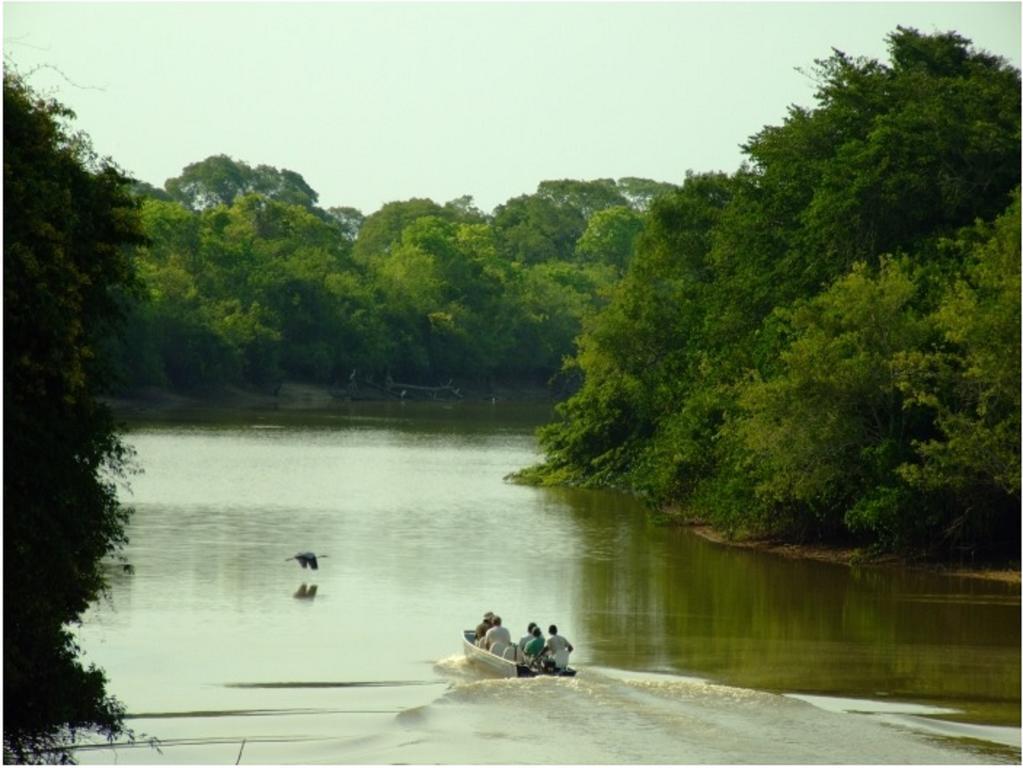 Southwild Pantanal Lodge Pixaim ภายนอก รูปภาพ